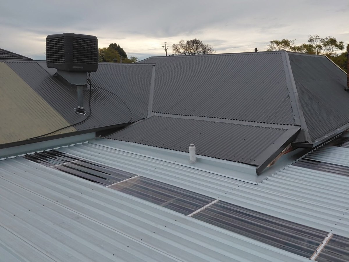 New pale roof sheets with clear sheets in them, dark roof and cooler behind